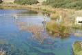 Is our tap water safe to drink?