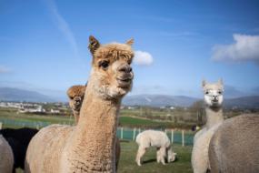 Ten things to do in NI this week!