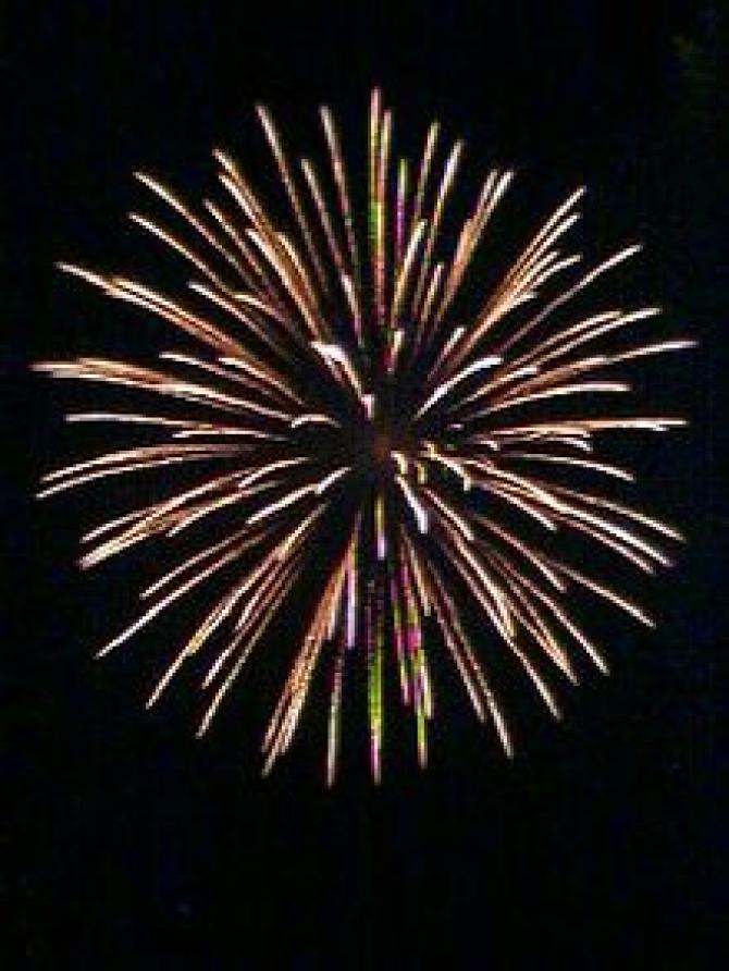 All Creatures Vets launches fireworks pet stress awareness campaign